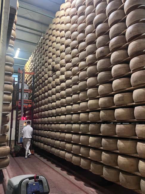 Florence:Private Ferrari Tour, Parmigiano & Balsamic Tasting - Parmigiano Reggiano Dairy: This Is Where the Value Lives
