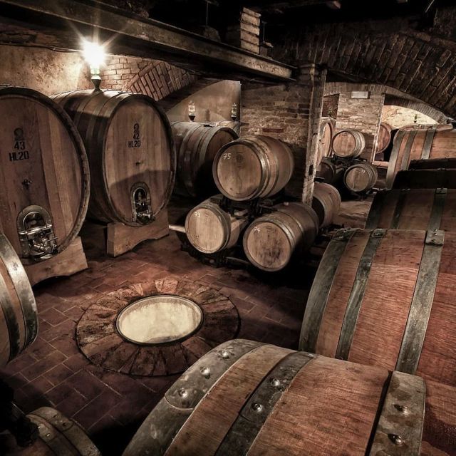 Florence: Private Full-Day Brunello Wine Tour to Montalcino - Podere il Cocco: organic, family-run, and intentionally small output