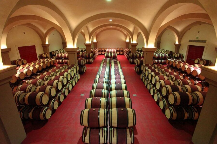 Florence: Private Full-Day Brunello Wine Tour to Montalcino - Azienda Agricola Solaria: an all-female team plus extra virgin olive oil