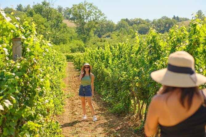 Florence: Private Half-Day Chianti Tour and Wine Tasting Optional - Quick Takes Before You Go