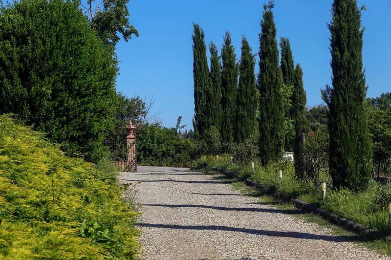 Florence: Private Horseback Ride with Tuscan Lunch or Dinner - Getting From Florence to Pontassieve Without a Headache