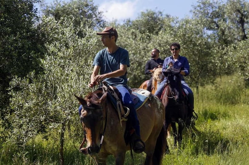 Florence: Private Horseback Ride with Wine Aperitivo - From Florence to a Working Farm: The Easy Getaway Part