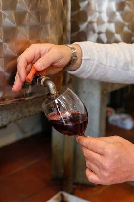 Florence: Private Horseback Ride with Wine Aperitivo - Who This Is For (and Who Should Skip It)