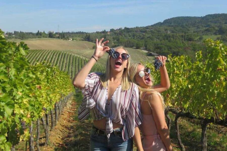 Florence: Private Siena, San Gimignano and Chianti Tour - Chianti wine road: castles, villages, and big view stops