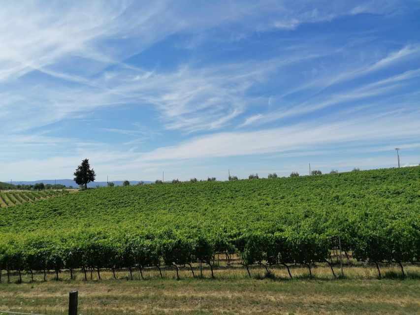 Florence: Private Vintage Fiat500 Countryside & Winery Lunch - Price and value: is $210 per person fair?