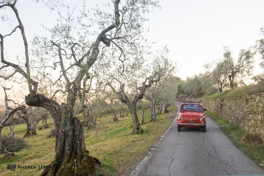 Florence: Private Vintage Fiat500 Countryside & Winery Lunch - Arriving at a family-run Chianti Classico farm