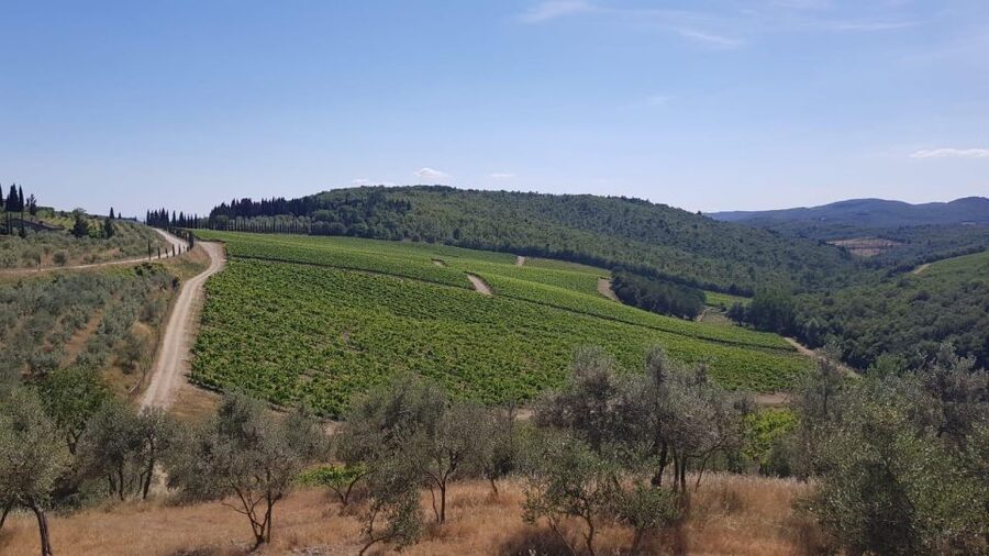 Florence: Private Vintage Fiat500 Countryside & Winery Lunch - Tuscan lunch: a proper meal, not a rushed bite