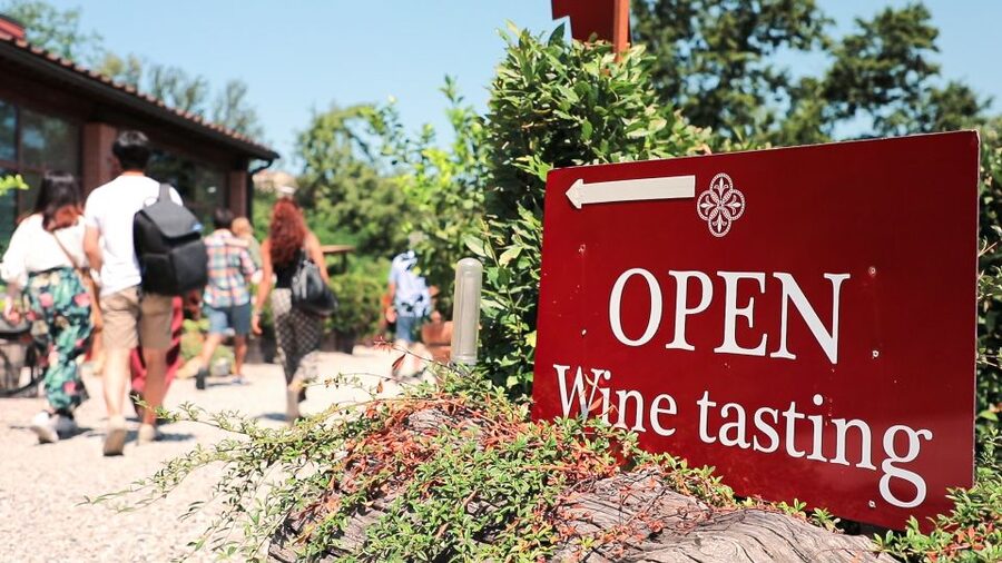 Florence: S. Gimignano, Siena, Chianti Wine Tasting & Lunch - How $82 Turns Into Real Value (Not Just Transportation)