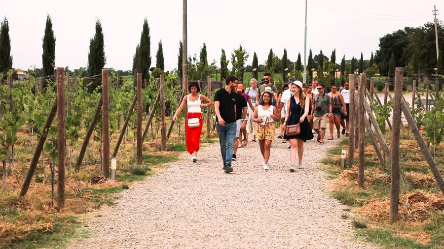 Florence: S. Gimignano, Siena, Chianti Wine Tasting & Lunch - Why the Tour Team Matters (And What You Can Expect)
