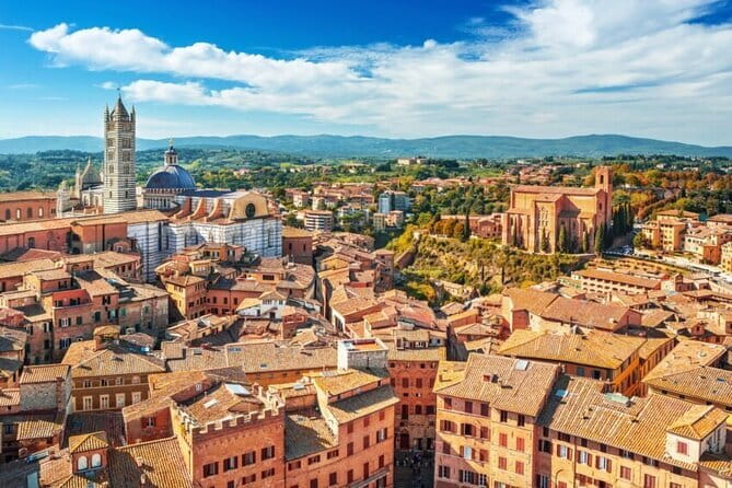 Florence: San Gimignano & Siena Tasting Experience - Price and logistics: what you’re really paying for
