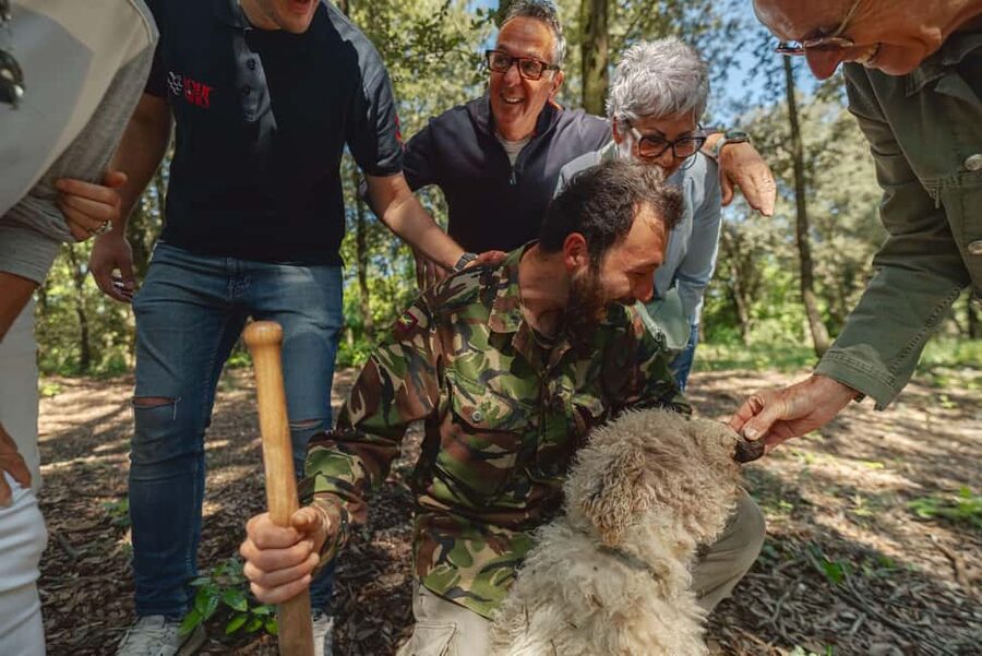 Florence: San Gimignano, Truffle Hunt, Wine Tasting, & Lunch - Who Should Book This (and Who Should Skip It)
