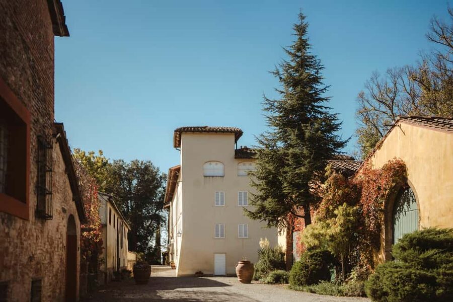 Florence: San Gimignano, Truffle Hunt, Wine Tasting, & Lunch - Truffle Hunting in the Tuscan Woods with Leonardo and Aiki