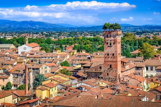 Florence : Scenic tour of Piazzale Michelangelo with tasting - The Return to Porta Romana: a Clean, Finished Loop