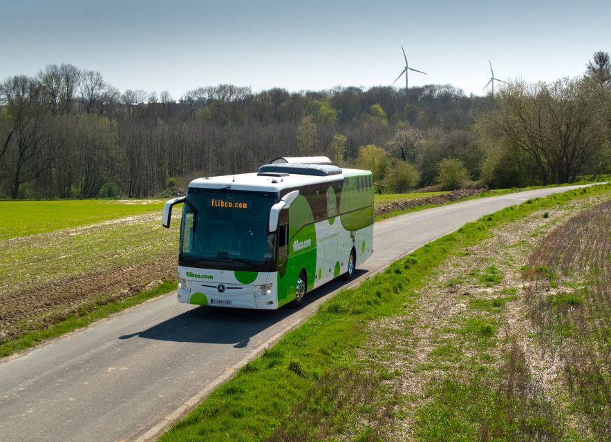 Florence: Shared Bus Transfer to/from Pisa Airport - Florence to Pisa Airport: how the timing works for flights