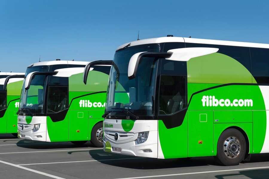 Florence: Shared Bus Transfer to/from Pisa Airport - The return ride: Pisa Airport back to Florence without the hassle