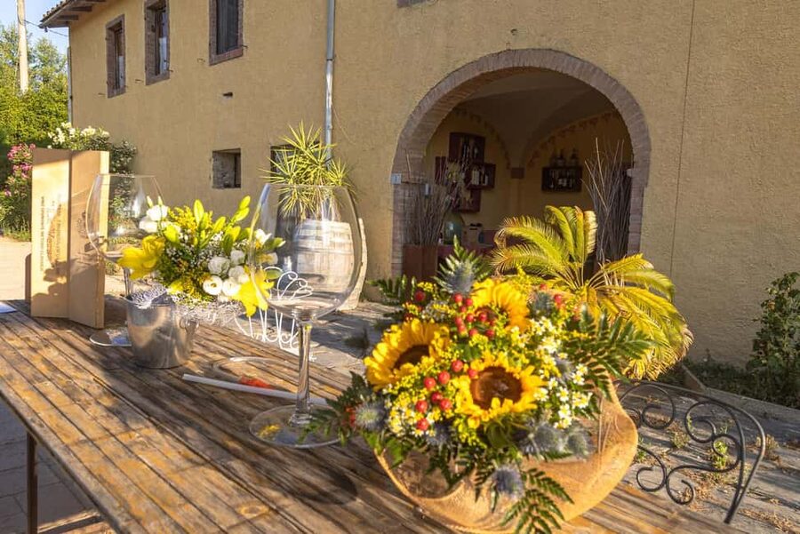 Florence: The secret of wine, cheese and olive oil at a farm - 10 cheeses from across Italy: pecorino, provola, and practical tasting tips