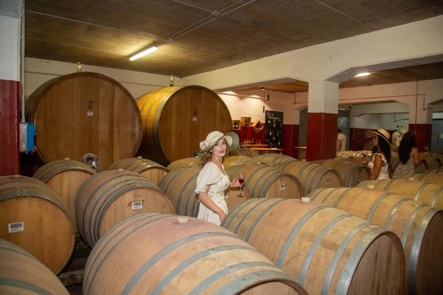 Florence: The secret of wine, cheese and olive oil at a farm - 10 organic wines from all over Tuscany: how the tasting actually feels