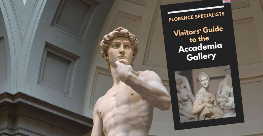Florence: Timed Entry Ticket to Michelangelo's David & eBook - Who this experience suits best (and who might want a different plan)