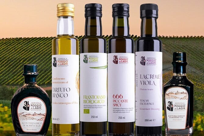 Florence: Tour San Gimignano, Monteriggioni & Chianti Hills - The vineyard visit: the ride, the views, and the flavor context