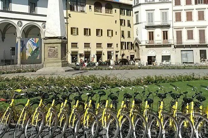 Florence treasures on a city bike - 1 day rental - - A one-day bike rental that lets Florence set the pace