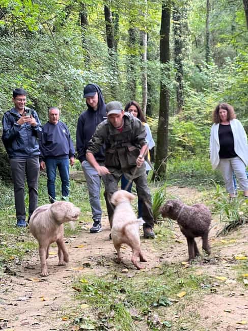 Florence: Truffle Hunt, San Gimignano, and Chianti Day Trip - Key Highlights You’ll Actually Feel
