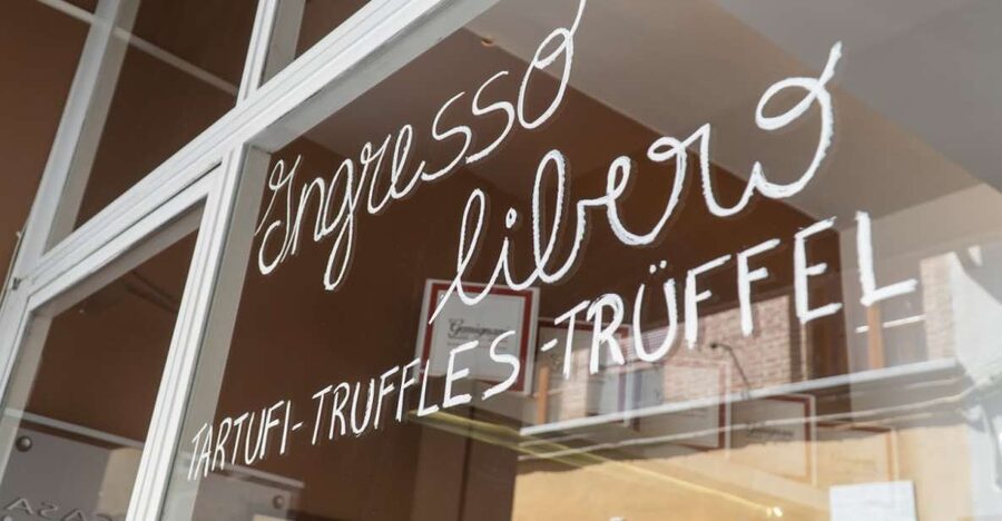 Florence: Truffle Hunting and Vinci with Lunch and Winery - Driver and guide teamwork: the hidden value in a well-run private day