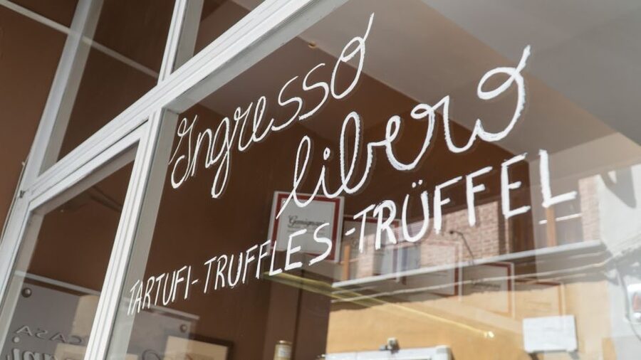 Florence: Truffle Hunting and Vinci with Lunch and Winery - Should you book the Florence: Truffle Hunting and Vinci with Lunch and Winery?