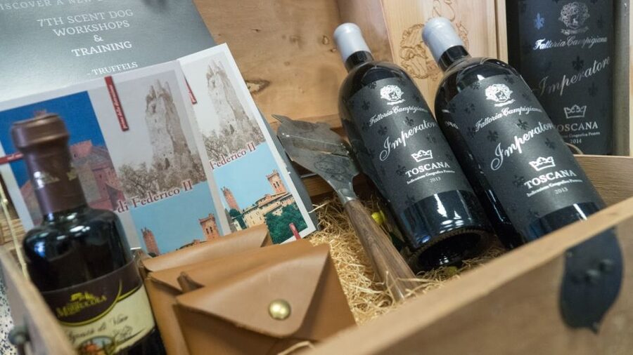 Florence: Truffle Hunting and Vinci with Lunch and Winery - Truffle hunting in San Miniato: a professional, a Lagotto dog, and two focused hours