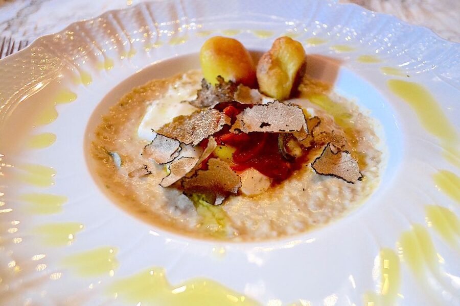 Florence: Truffle Hunting, Lunch, and Wine Tasting Tour - Key things to know