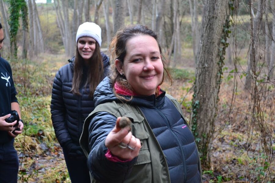 Florence: Truffle Hunting, Lunch, and Wine Tasting Tour - Should you book this Florence truffle hunting and wine day?