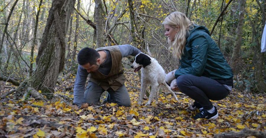 Florence: Truffle Hunting, Lunch, and Wine Tasting Tour - San Miniato: white-truffle country within reach of Florence