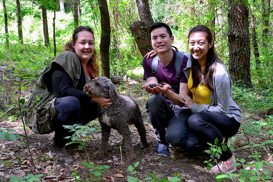 Florence: Truffle Hunting, Lunch, and Wine Tasting Tour - Lunch at a family-owned winery: truffle flavor, not just truffle talk