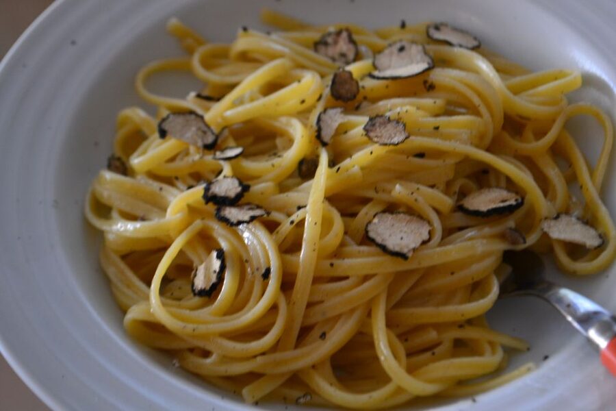 Florence: Truffle Hunting, Lunch, and Wine Tasting Tour - From Florence to the small-group day schedule (and what to bring)