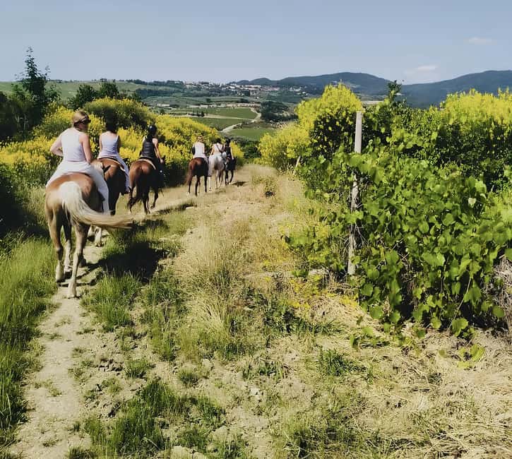 Florence: Tuscan Countryside Horseback Ride - Quick Reasons This Tuscan Ride Gets High Marks