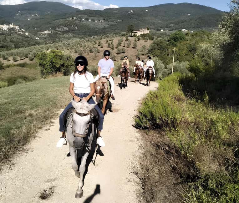 Florence: Tuscan Countryside Horseback Ride - The Horses and Instruction: Why Beginners Often Feel Fine Here