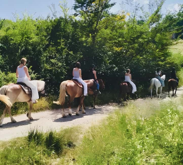 Florence: Tuscan Countryside Horseback Ride - Languages: Italian and English for Real Understanding