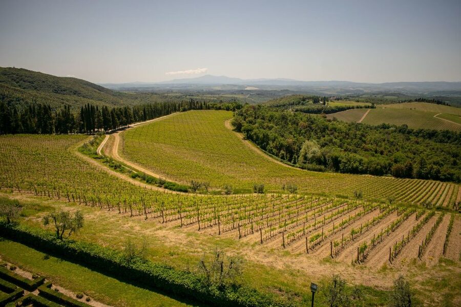 Florence: Tuscany Chianti Winery Private Day-Trip with Lunch - Who this tour fits best (and who should choose something else)