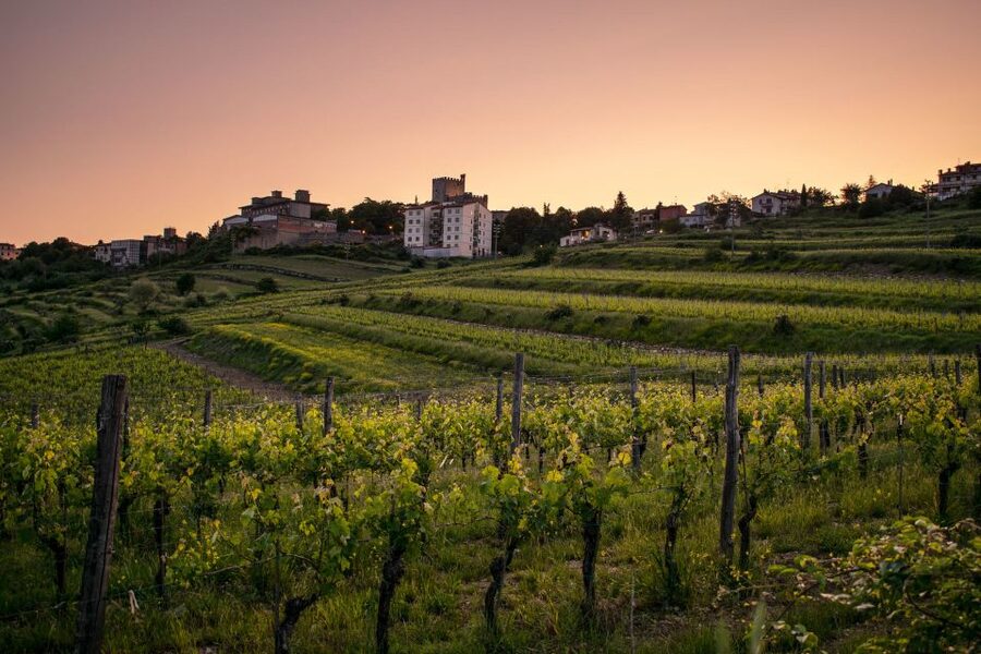 Florence: Tuscany Chianti Winery Private Day-Trip with Lunch - Getting started in Florence: Piazza dei Cavalleggeri to Piazzale Michelangelo views