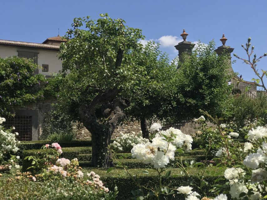 Florence: Tuscany Chianti Winery Private Day-Trip with Lunch - Greve in Chianti: medieval lanes, Verrazzano facts, and a coffee break