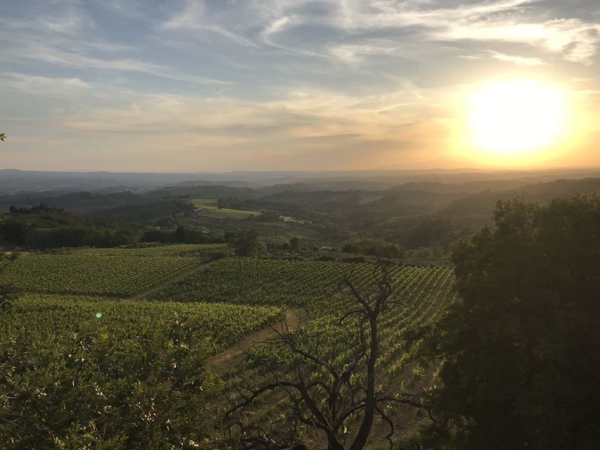 Florence: Tuscany Chianti Winery Private Day-Trip with Lunch - The family-run estate experience: medieval cellars, oak barrels, and real wine talk