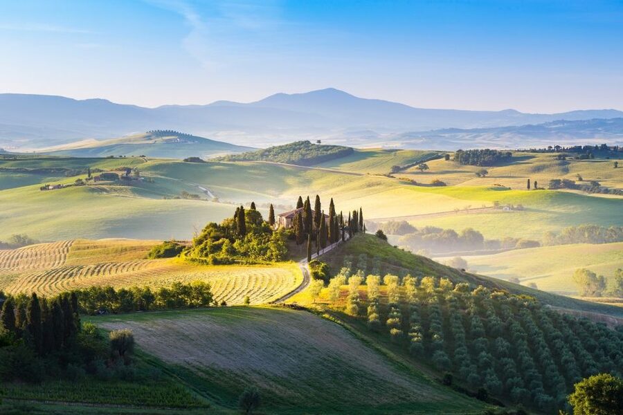 Florence: Val d'Orcia Private Chauffeur-Driven Tour - Private chauffeur logistics: comfort, timing, and what the driver does