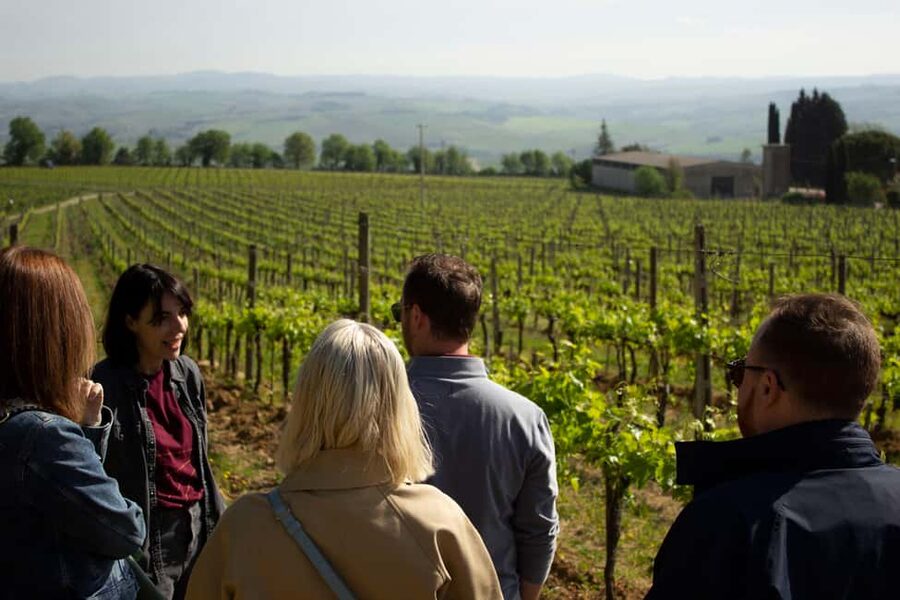 Florence: Valdorcia Wine, Brunello Montalcino, Montepulciano - Quick highlights I’d plan around