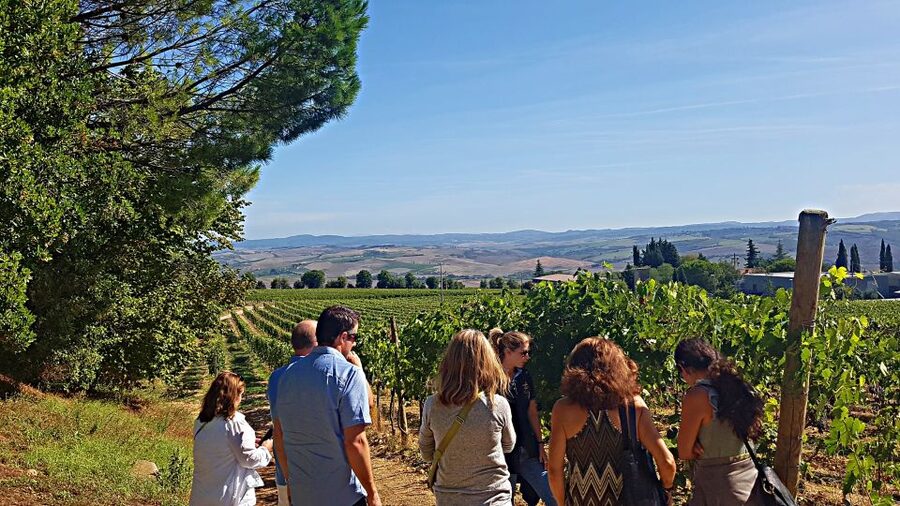Florence: Valdorcia Wine, Brunello Montalcino, Montepulciano - Montepulciano’s underground cellars: the underground city tour