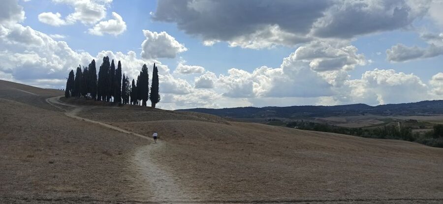 Florence: Valdorcia Wine, Brunello Montalcino, Montepulciano - How the tasting flow works (and how to make it fun, not frantic)
