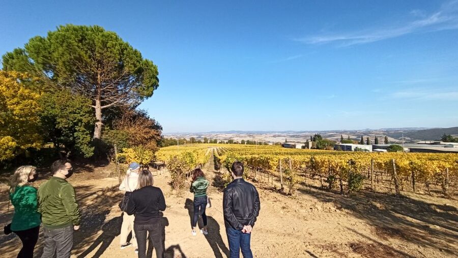 Florence: Valdorcia Wine, Brunello Montalcino, Montepulciano - Driver quality and small-group pacing: why it feels human