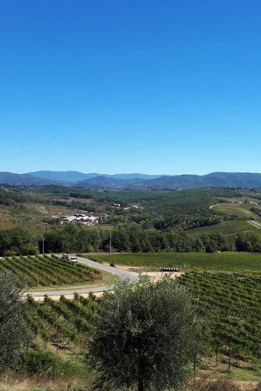 Florence: Vintage Fiat 500 Tour with Chianti Winery & Lunch - Rolling Out of Florence: From City Walls to Chianti Roads