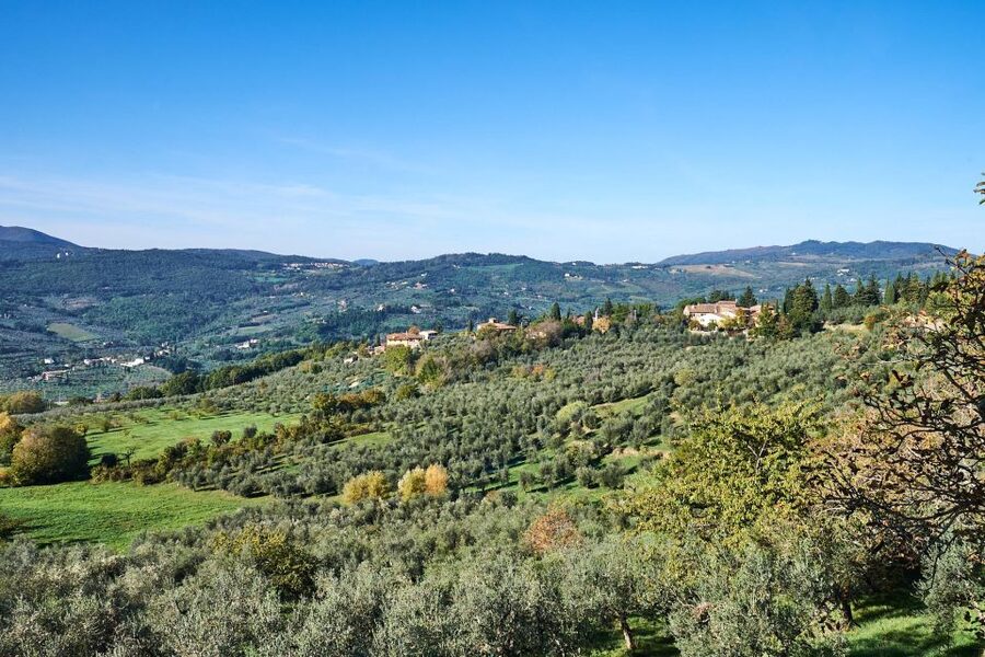 Florence: Vintage Fiat 500 Tour with Wine Tasting at Winery - Winery Stop: Tuscan Appetizer, Wine Tasting, and Extra Virgin Olive Oil