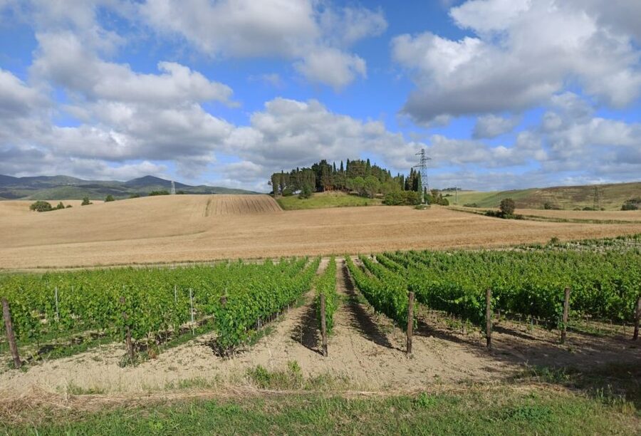 Florence: Volterra & San Gimignano Wine Tour with Lunch - Why Volterra and San Gimignano Work So Well From Florence