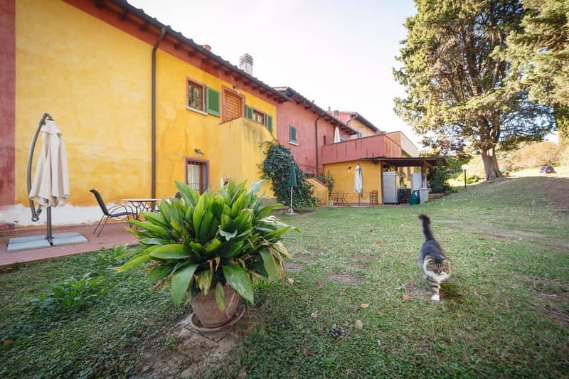 Florence: Wine Tasting at a Vineyard With a Local Winemaker - Cellar Visit: Where Aging Really Happens