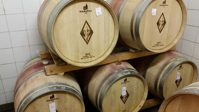 Florence: Wine Tasting at a Vineyard With a Local Winemaker - What to Bring (So the Day Stays Comfortable)